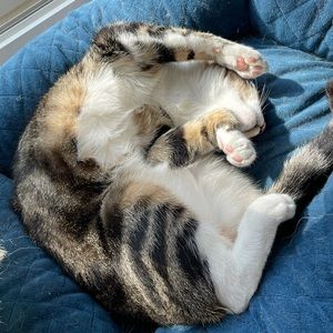 Meet your Posher, Miki